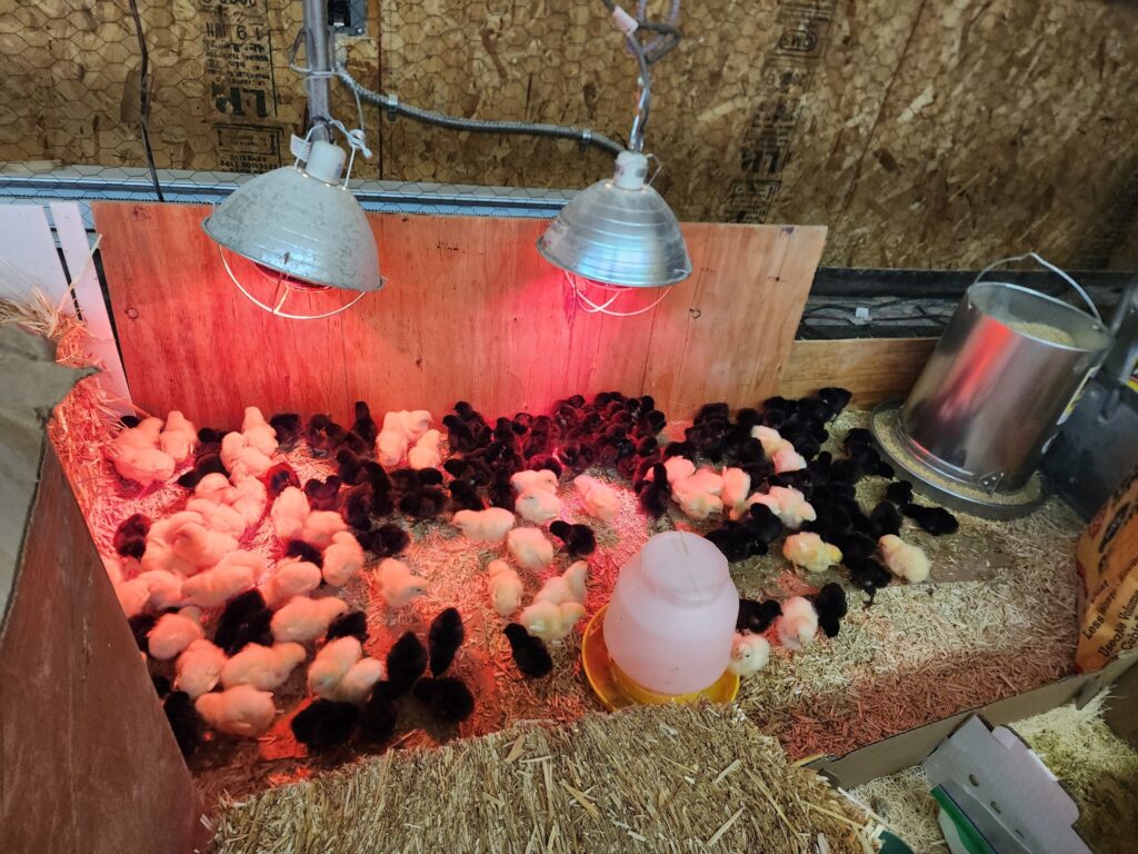 Farm Fresh, Means Farm Fresh